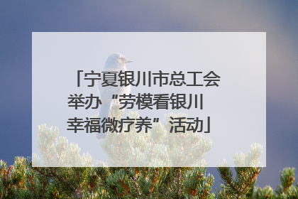 宁夏银川市总工会举办“劳模看银川 幸福微疗养”活动