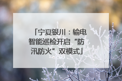 宁夏银川：输电智能巡检开启“防汛防火”双模式