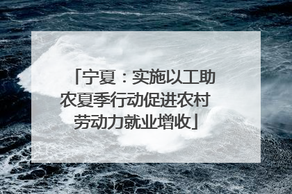 宁夏：实施以工助农夏季行动促进农村劳动力就业增收