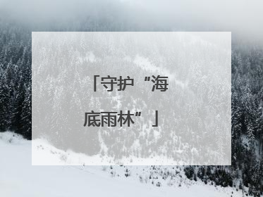 守护“海底雨林”