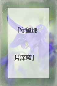 守望那片深蓝