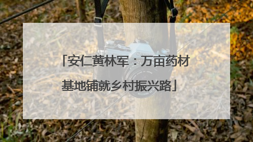安仁黄林军：万亩药材基地铺就乡村振兴路
