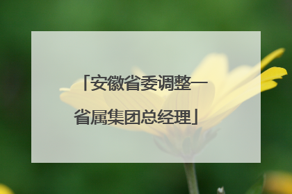 安徽省委调整一省属集团总经理