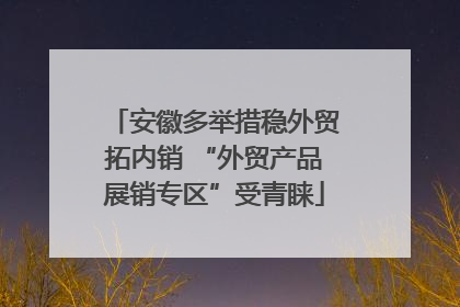安徽多举措稳外贸拓内销 “外贸产品展销专区”受青睐
