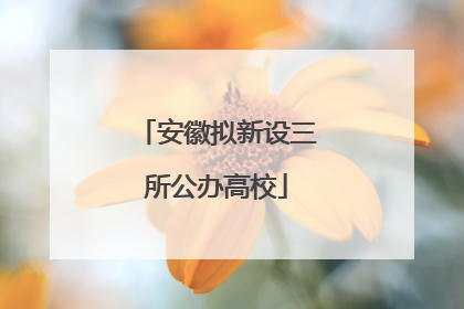 安徽拟新设三所公办高校