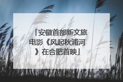 安徽首部新文旅电影《风起秋浦河》在合肥首映