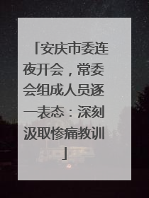 安庆市委连夜开会，常委会组成人员逐一表态：深刻汲取惨痛教训