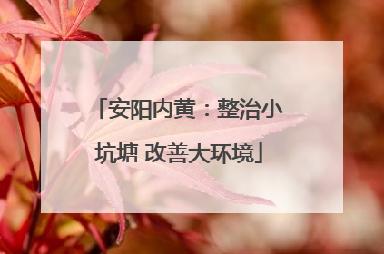 安阳内黄：整治小坑塘 改善大环境