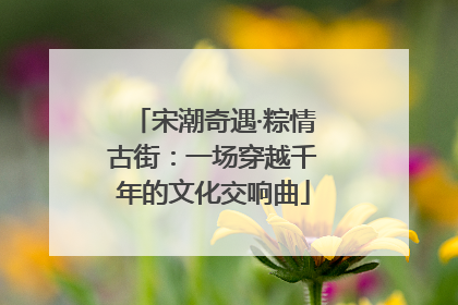 宋潮奇遇·粽情古街：一场穿越千年的文化交响曲