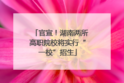 官宣！湖南两所高职院校将实行“一校”招生