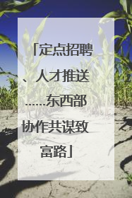 定点招聘、人才推送……东西部协作共谋致富路