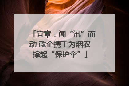 宜章：闻“汛”而动 政企携手为烟农撑起“保护伞”