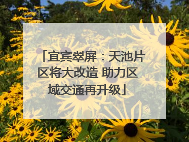 宜宾翠屏：天池片区将大改造 助力区域交通再升级