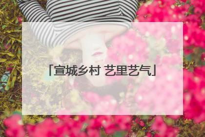 宣城乡村 艺里艺气