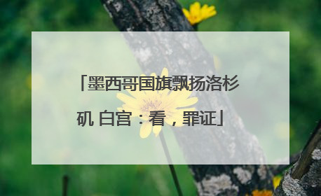 墨西哥国旗飘扬洛杉矶 白宫：看，罪证