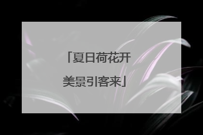 夏日荷花开 美景引客来
