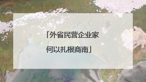 外省民营企业家何以扎根商南