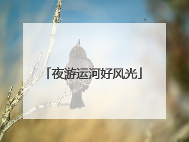 夜游运河好风光