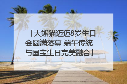 大熊猫迈迈8岁生日会圆满落幕 端午传统与国宝生日完美融合