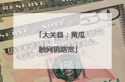 大关县：黄瓜触网销路宽