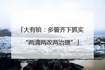 大有镇：多管齐下抓实“两清两改两治理”