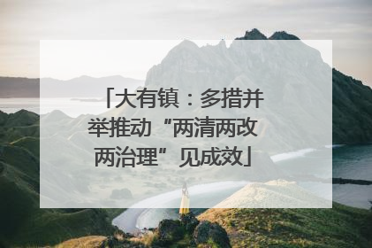 大有镇：多措并举推动“两清两改两治理”见成效