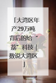 大湾区年产29万吨背后的给“荔”科技｜数说大湾区