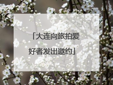 大连向旅拍爱好者发出邀约