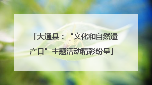 大通县：“文化和自然遗产日”主题活动精彩纷呈