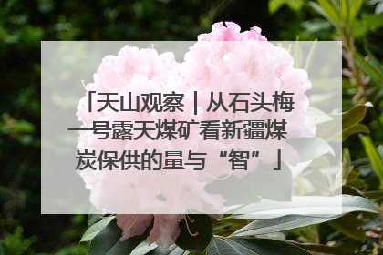 天山观察｜从石头梅一号露天煤矿看新疆煤炭保供的量与“智”