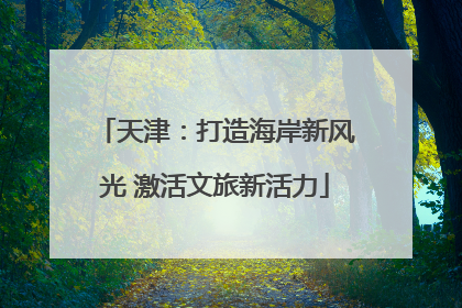 天津：打造海岸新风光 激活文旅新活力