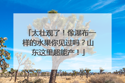 太壮观了！像瀑布一样的水果你见过吗？山东这里超能产！
