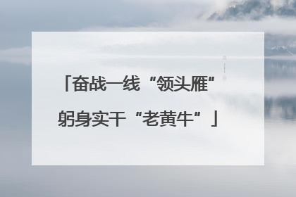 奋战一线“领头雁” 躬身实干“老黄牛”