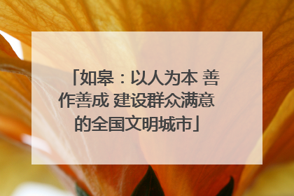如皋：以人为本 善作善成 建设群众满意的全国文明城市
