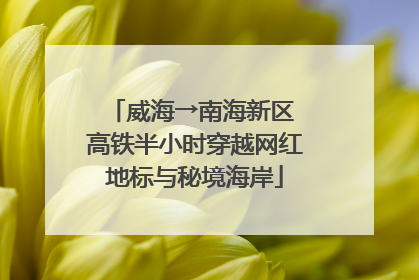 威海→南海新区 高铁半小时穿越网红地标与秘境海岸