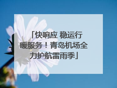 快响应 稳运行 暖服务！青岛机场全力护航雷雨季