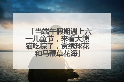 当端午假期遇上六一儿童节，来看大熊猫吃粽子，赏绣球花和马鞭草花海