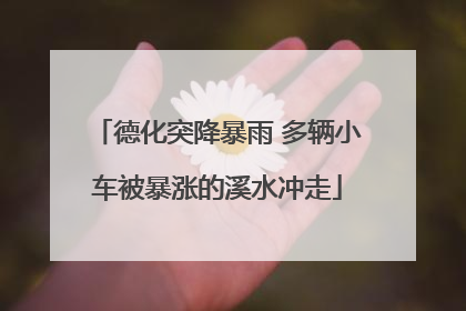 德化突降暴雨 多辆小车被暴涨的溪水冲走