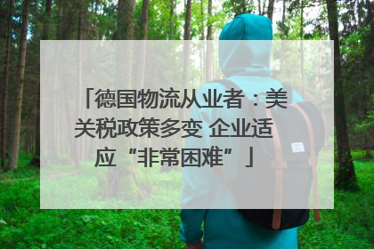 德国物流从业者：美关税政策多变 企业适应“非常困难”