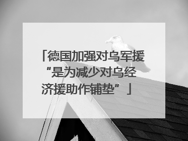 德国加强对乌军援 “是为减少对乌经济援助作铺垫”