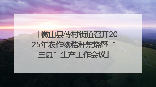 微山县傅村街道召开2025年农作物秸秆禁烧暨“三夏”生产工作会议