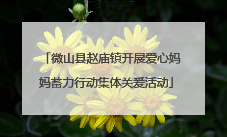 微山县赵庙镇开展爱心妈妈蓄力行动集体关爱活动