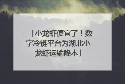 小龙虾便宜了！数字冷链平台为湖北小龙虾运输降本