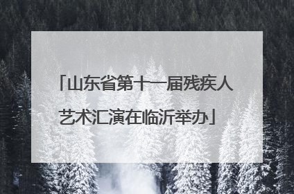 山东省第十一届残疾人艺术汇演在临沂举办