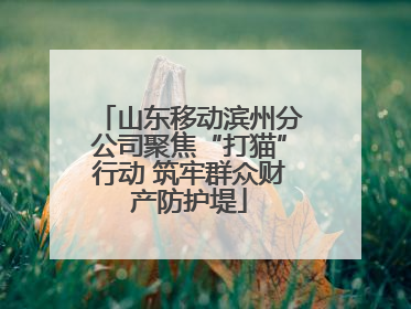 山东移动滨州分公司聚焦“打猫”行动 筑牢群众财产防护堤