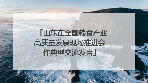 山东在全国粮食产业高质量发展现场推进会作典型交流发言