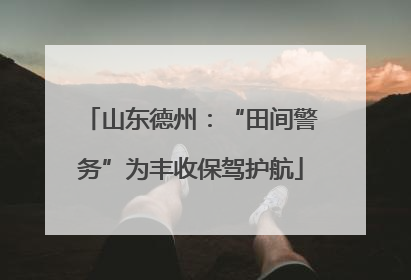 山东德州：“田间警务”为丰收保驾护航