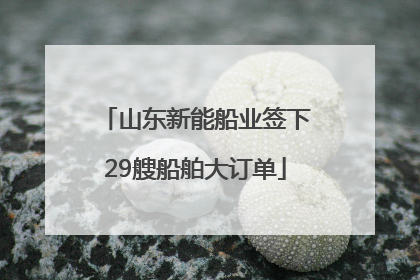 山东新能船业签下29艘船舶大订单