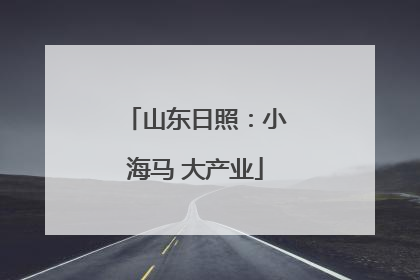 山东日照：小海马 大产业