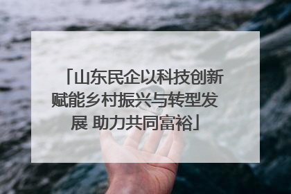 山东民企以科技创新赋能乡村振兴与转型发展 助力共同富裕